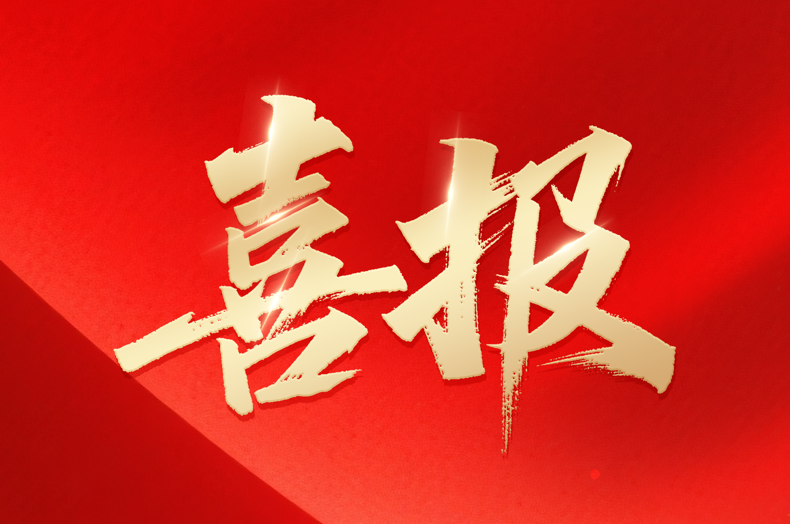 大宝娱乐在线｜喜报！公司荣获2024年拼搏奋进·株洲市长出格奖市当局质量奖